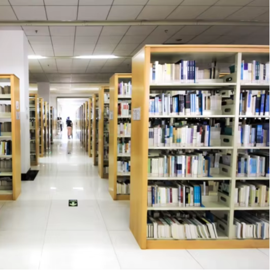 Prateleira para livros dupla f - Home Office And Library avaliação e preço